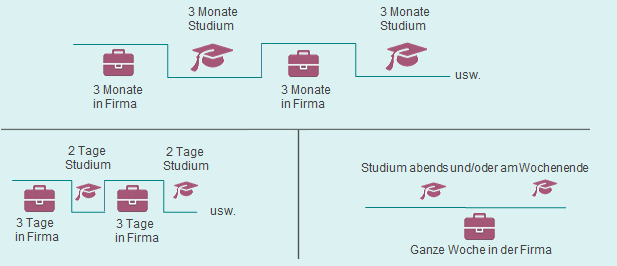 Eine Grafik zeigt verschiedene Studienmodelle eines dualen Studiums