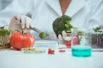 Ökotrophologie Studium Gesundheit und Ernährung im Fokus