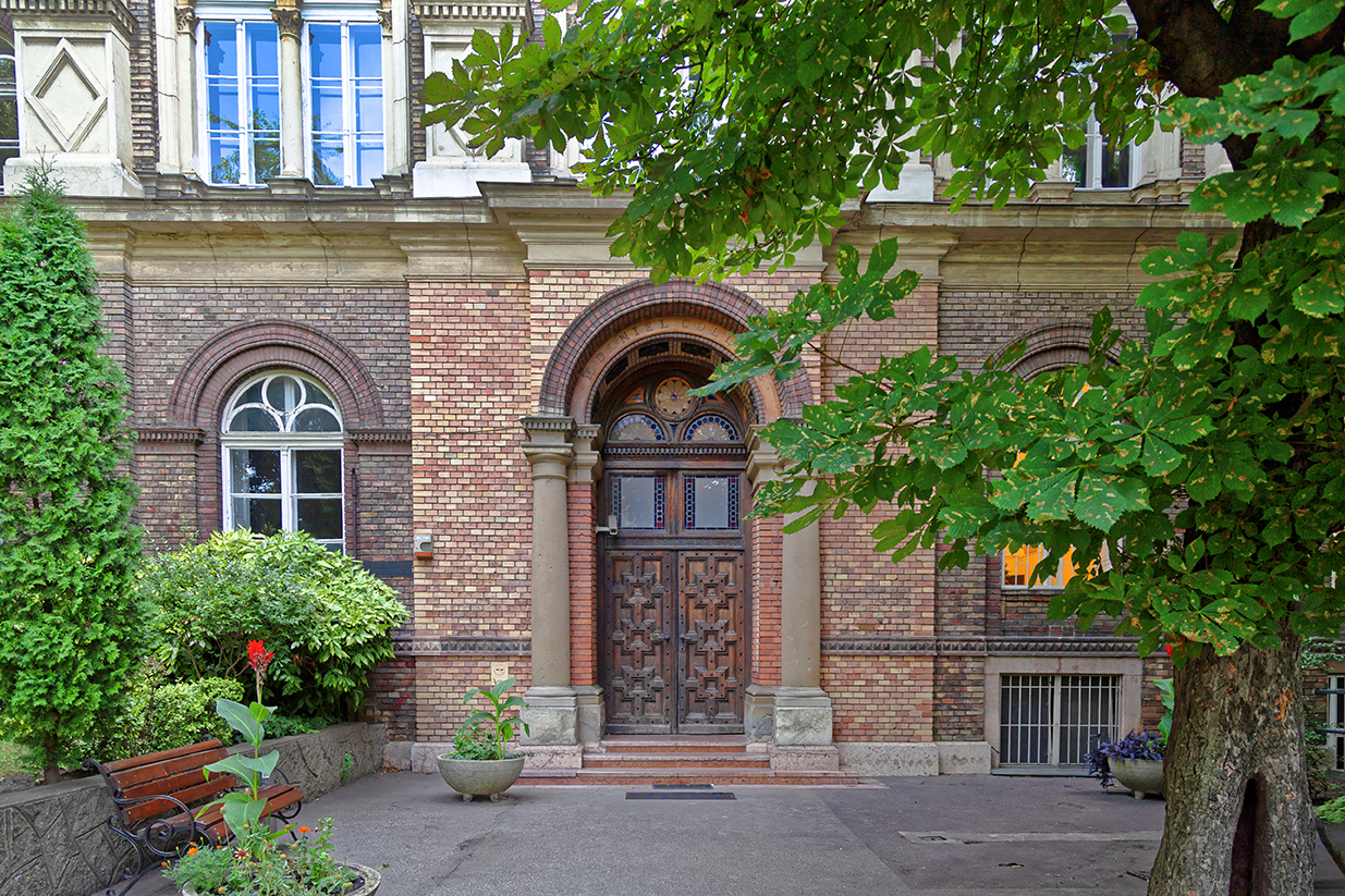McDaniel College Budapest Vorbereitungsjahr für das Medizinstudium in Ungarn gesundheit
