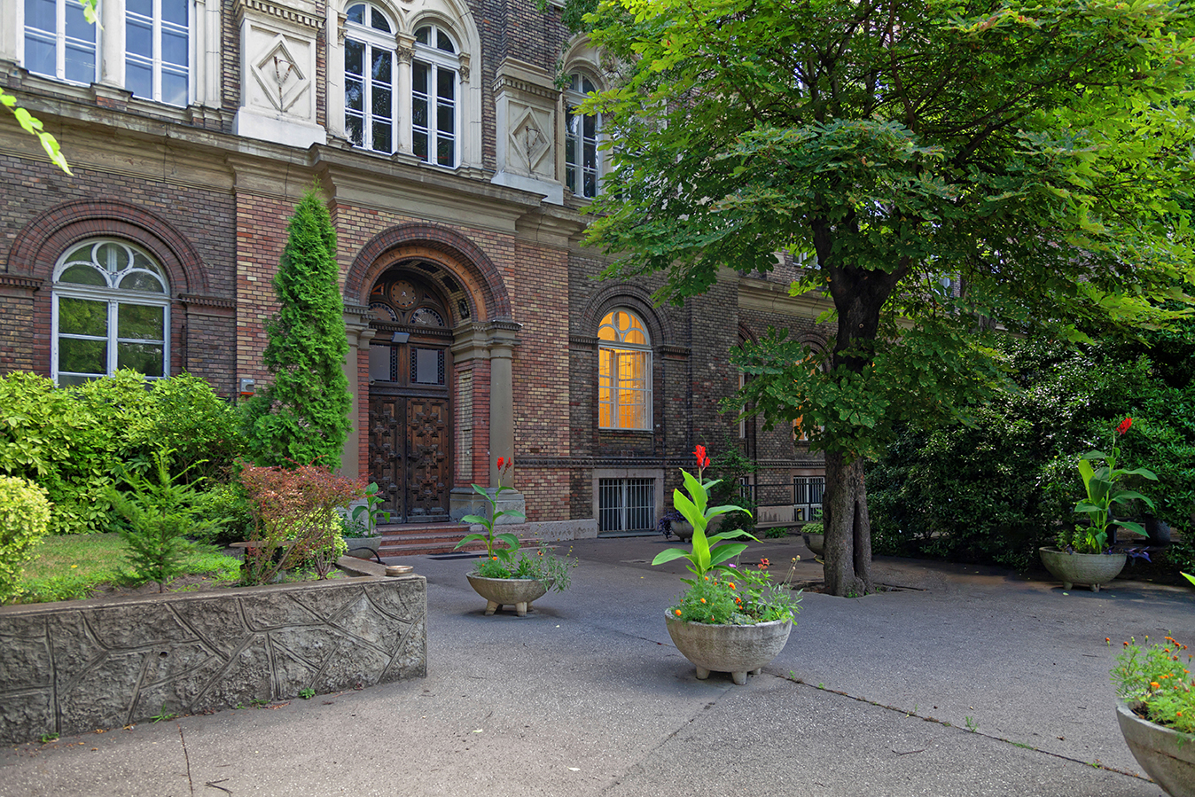McDaniel College Budapest Vorbereitungsjahr für das Medizinstudium in Ungarn gesundheit