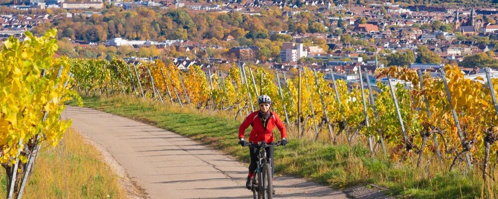 Was für ein Studium wird in Baden-Württemberg angeboten?