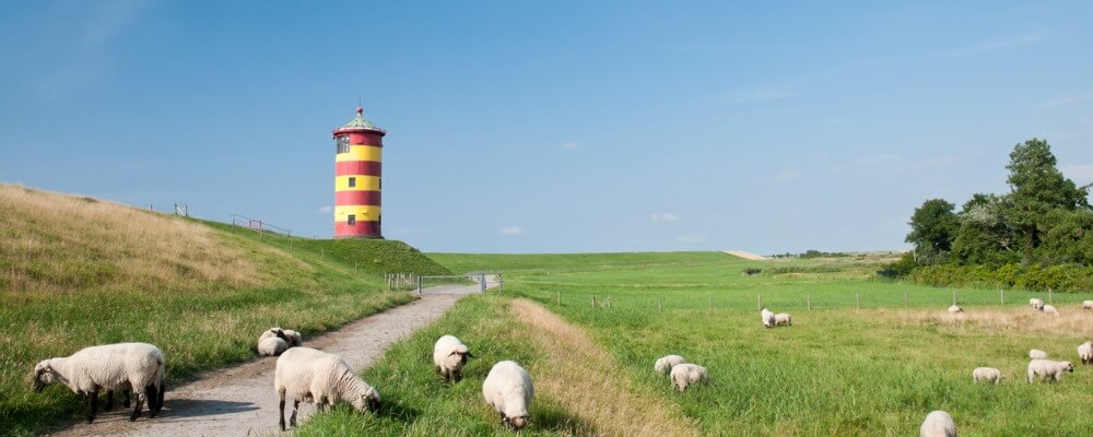 Fernstudium Logopädie in Niedersachsen